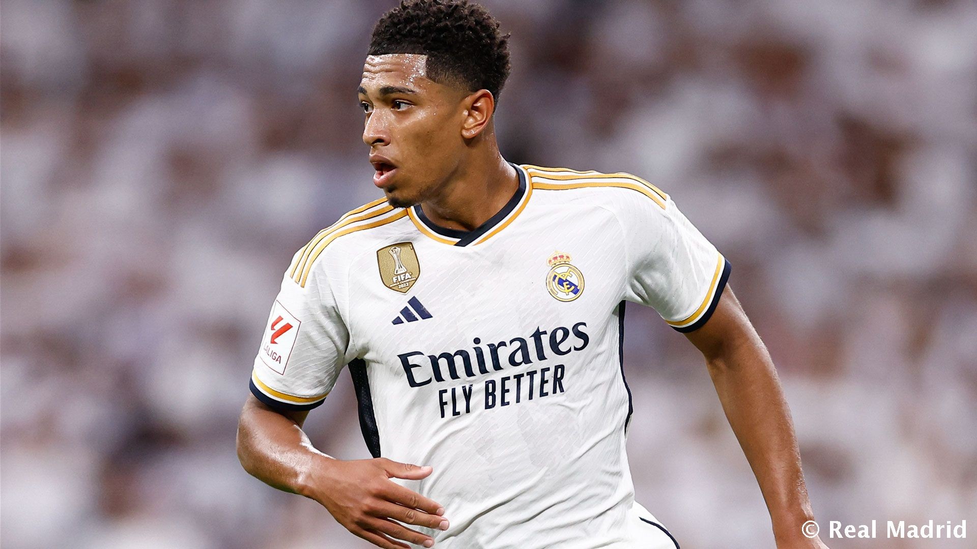 夜晚只属于胜者（黑夜只向胜者低头）